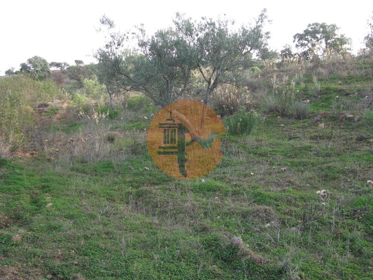 Plot for Sale in Azinhal, Castro Marim, Portugal 24