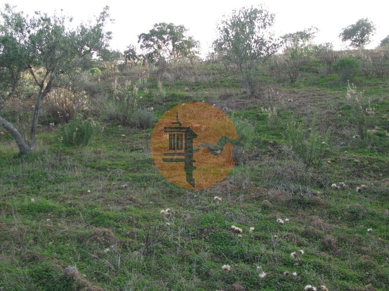 Plot for Sale in Azinhal, Castro Marim, Portugal 26