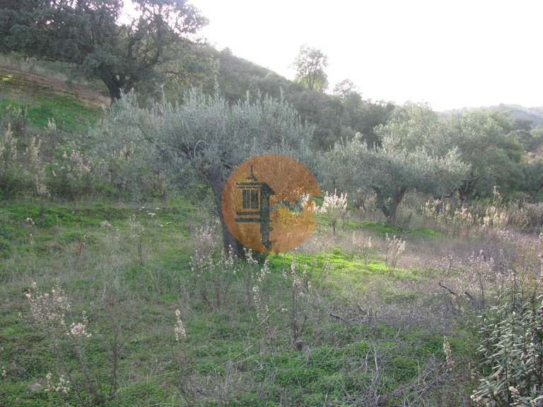 Plot for Sale in Azinhal, Castro Marim, Portugal 27