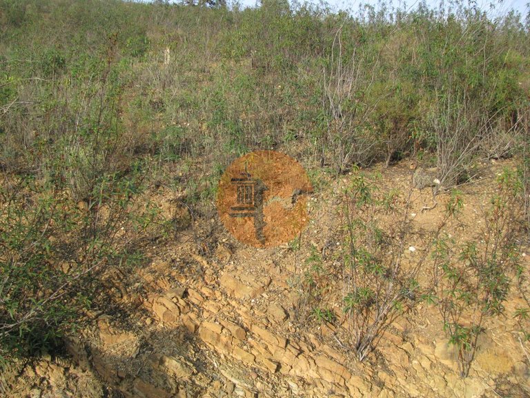 Plot for Sale in Azinhal, Castro Marim, Portugal 28