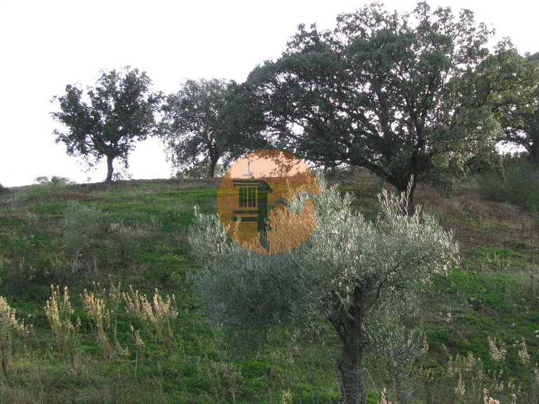 Plot for Sale in Azinhal, Castro Marim, Portugal 30