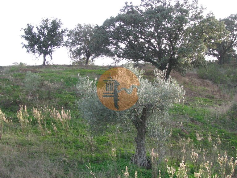 Plot for Sale in Azinhal, Castro Marim, Portugal 31