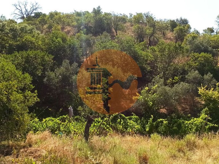Plot for Sale in Santa Catarina Da Fonte Do Bispo, Tavira, Portugal 18