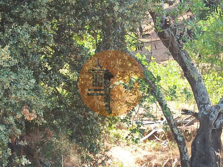 Plot for Sale in Santa Catarina Da Fonte Do Bispo, Tavira, Portugal 19