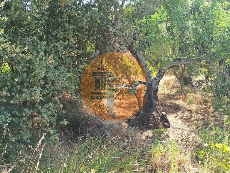 Plot for Sale in Santa Catarina Da Fonte Do Bispo, Tavira, Portugal 22