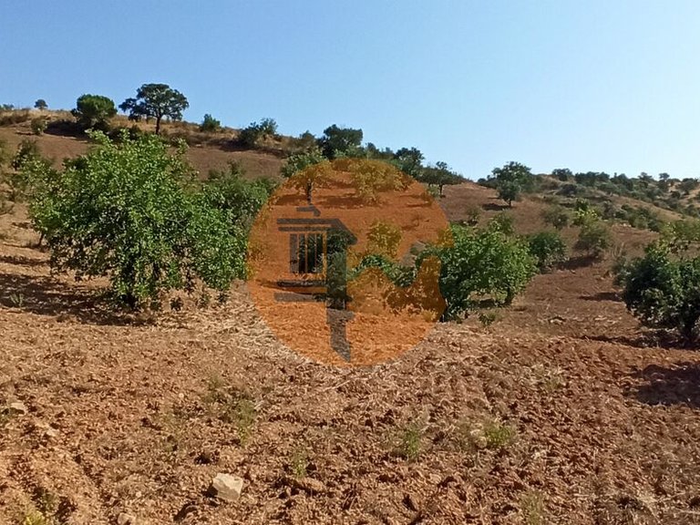 Plot for Sale in Santa Catarina Da Fonte Do Bispo, Tavira, Portugal 26