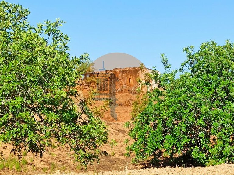 Plot for Sale in Santa Catarina Da Fonte Do Bispo, Tavira, Portugal 30