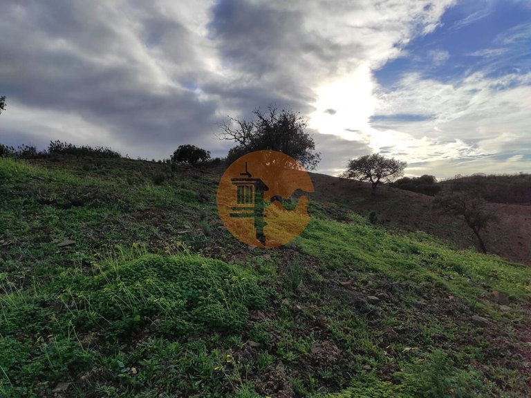Plot for Sale in Azinhal, Castro Marim, Portugal 13