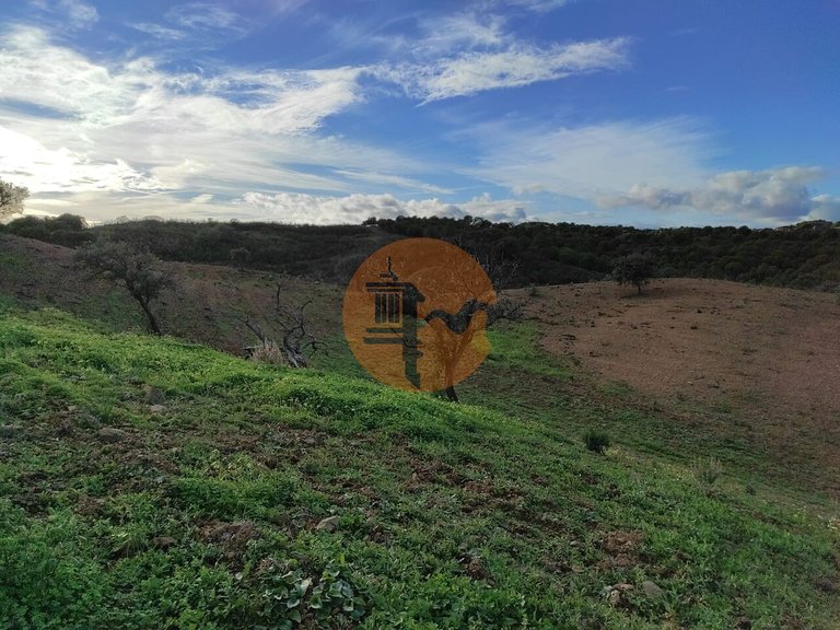 Plot for Sale in Azinhal, Castro Marim, Portugal 14
