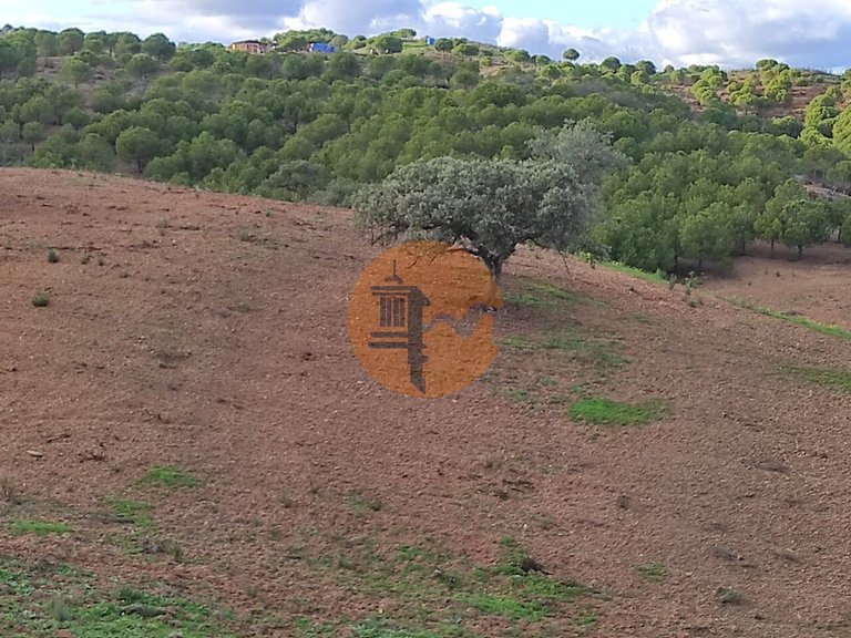 Plot for Sale in Azinhal, Castro Marim, Portugal 15