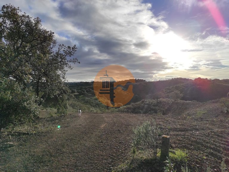 Plot for Sale in Azinhal, Castro Marim, Portugal 20