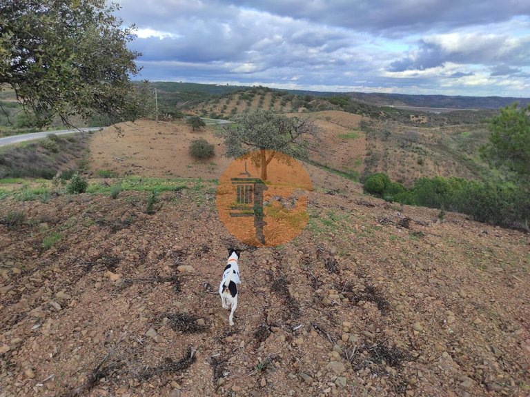 Plot for Sale in Azinhal, Castro Marim, Portugal 3