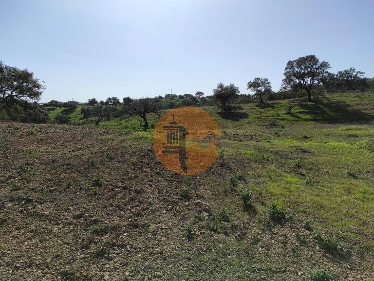 Plot for Sale in Azinhal, Castro Marim, Portugal 8