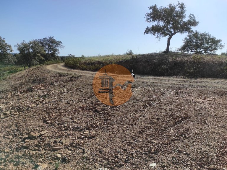 Plot for Sale in Azinhal, Castro Marim, Portugal 14