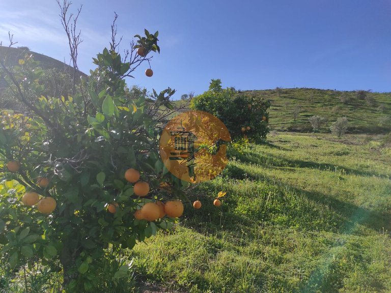 Plot for Sale in Castro Marim, Castro Marim, Portugal 4