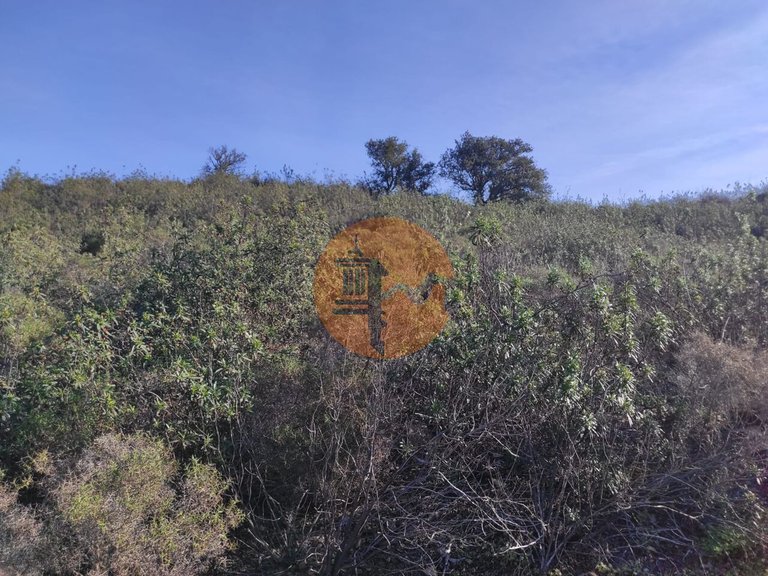 Plot for Sale in Castro Marim, Castro Marim, Portugal 7