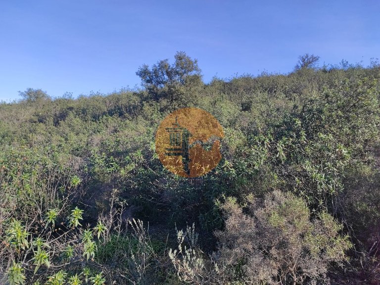 Plot for Sale in Castro Marim, Castro Marim, Portugal 21