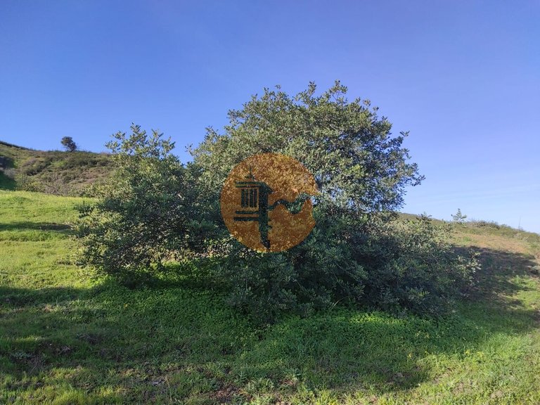 Plot for Sale in Castro Marim, Castro Marim, Portugal 23