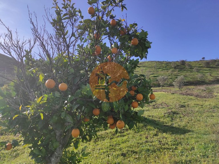 Plot for Sale in Castro Marim, Castro Marim, Portugal 27