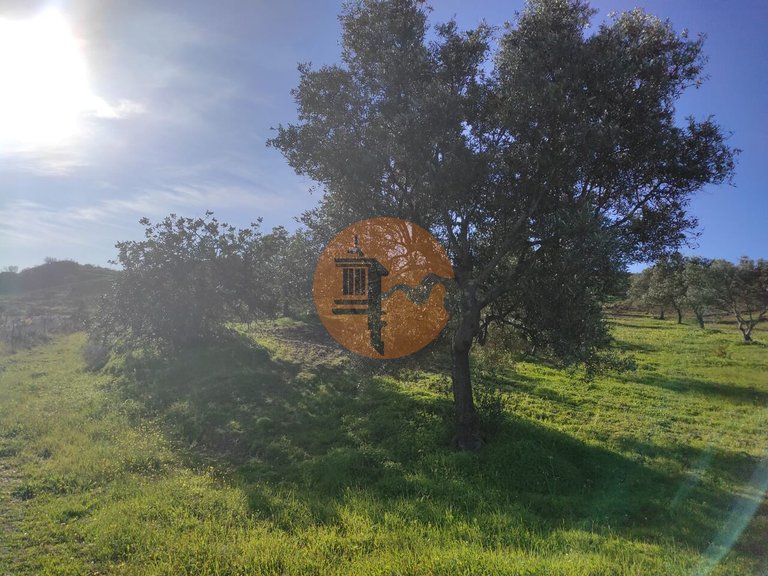 Plot for Sale in Castro Marim, Castro Marim, Portugal 29