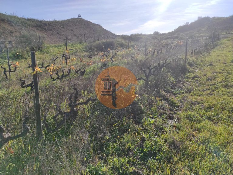 Plot for Sale in Castro Marim, Castro Marim, Portugal 30