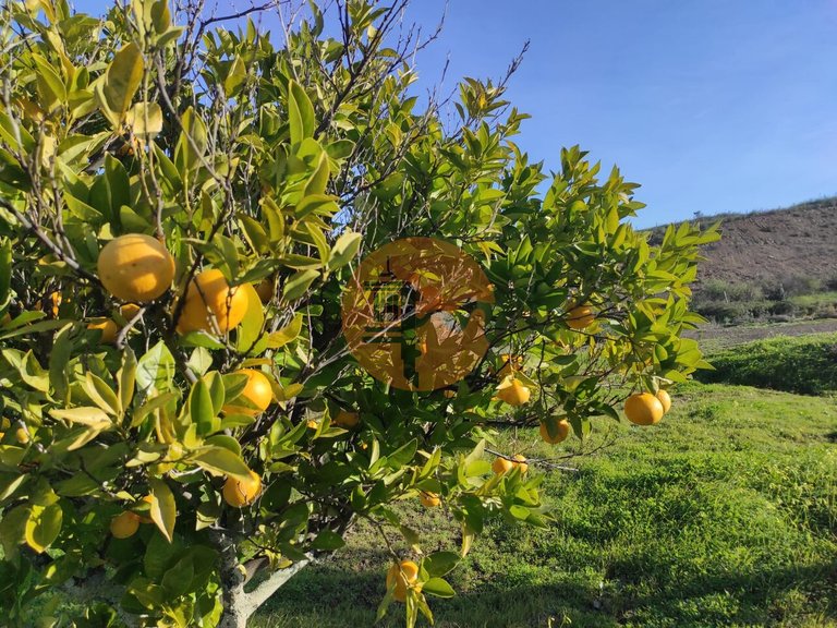 Plot for Sale in Castro Marim, Castro Marim, Portugal 32