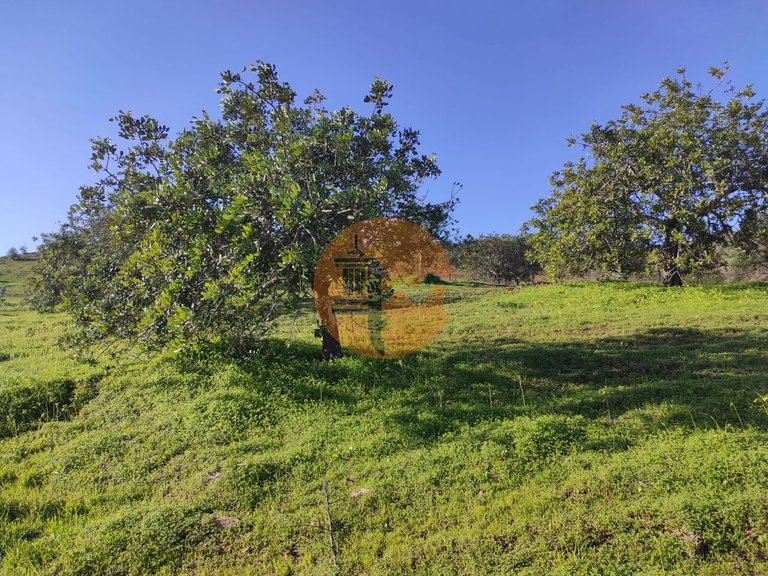 Plot for Sale in Castro Marim, Castro Marim, Portugal 33