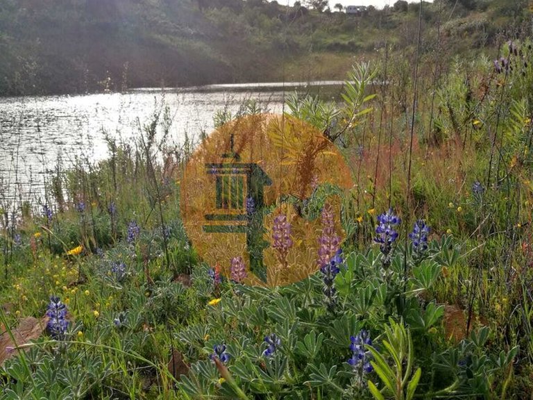 Plot for Sale in Azinhal, Castro Marim, Portugal 11