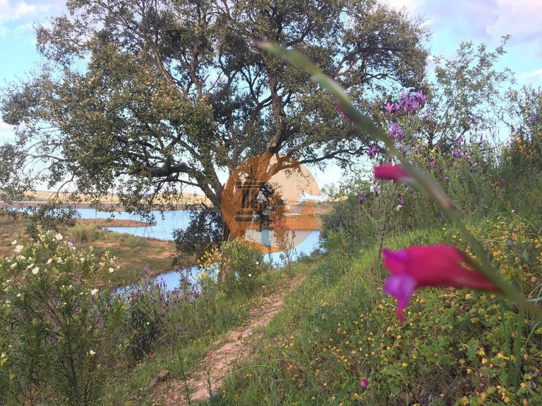 Plot for Sale in Azinhal, Castro Marim, Portugal 29