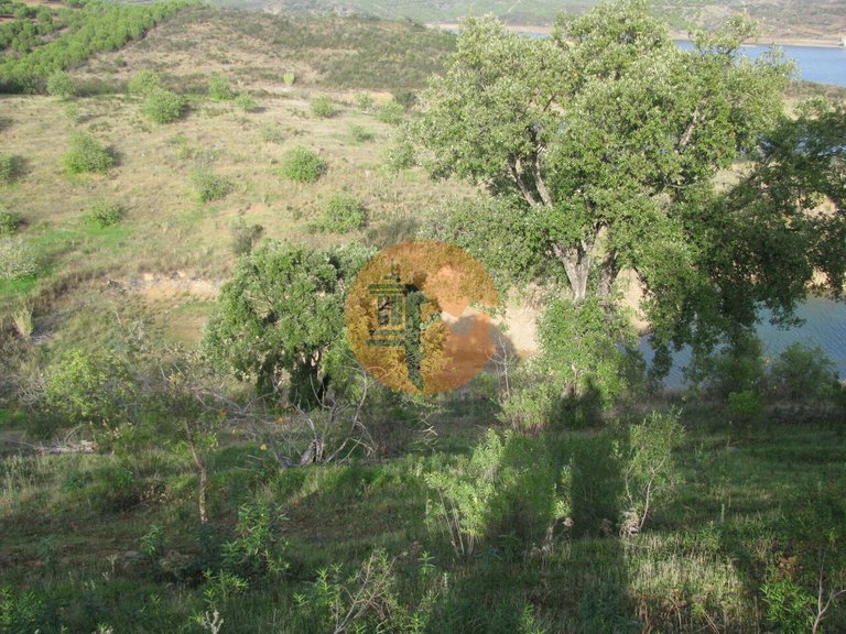 Plot for Sale in Azinhal, Castro Marim, Portugal 46