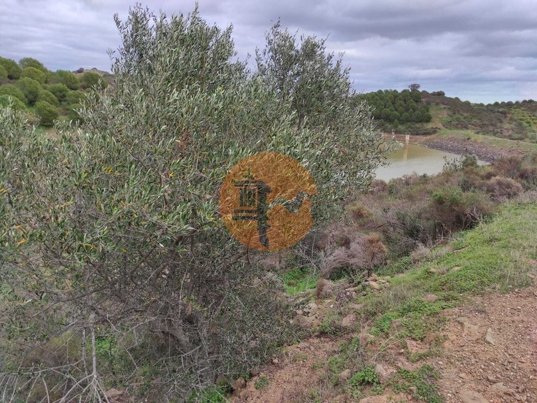 Plot for Sale in Castro Marim, Castro Marim, Portugal 13