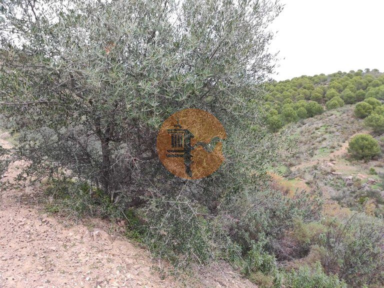 Plot for Sale in Castro Marim, Castro Marim, Portugal 29