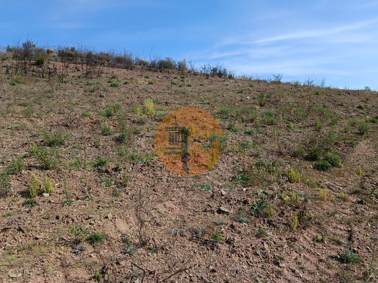 Plot for Sale in Azinhal, Castro Marim, Portugal 5