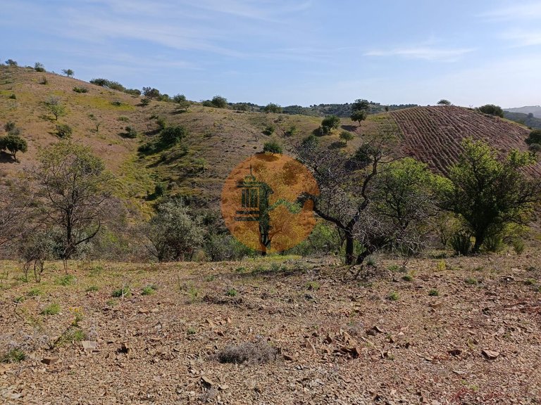 Plot for Sale in Azinhal, Castro Marim, Portugal 6