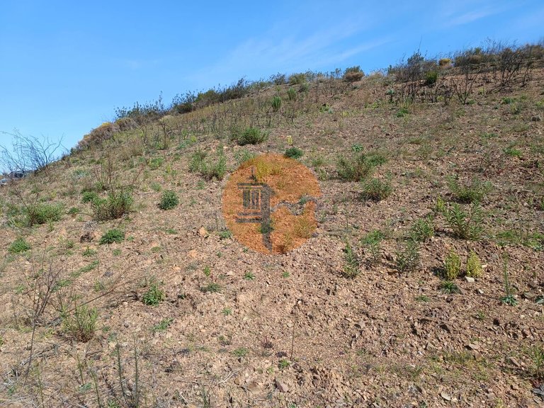 Plot for Sale in Azinhal, Castro Marim, Portugal 7