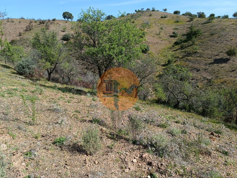 Plot for Sale in Azinhal, Castro Marim, Portugal 8