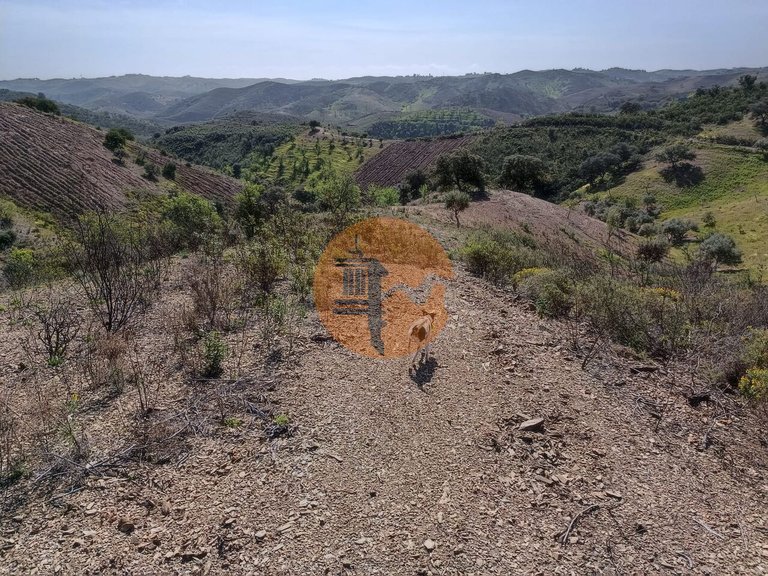 Plot for Sale in Azinhal, Castro Marim, Portugal 9