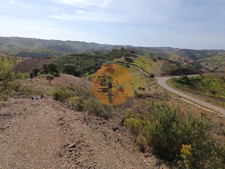 Plot for Sale in Azinhal, Castro Marim, Portugal 10