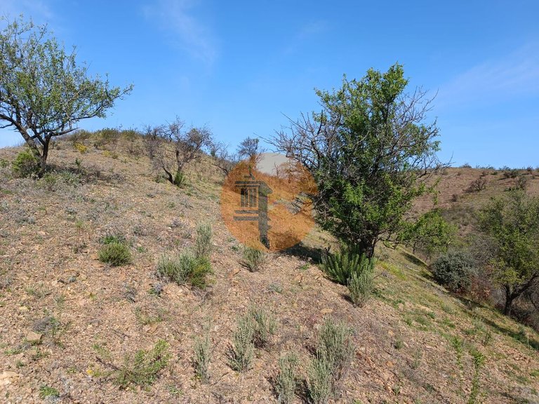 Plot for Sale in Azinhal, Castro Marim, Portugal 11