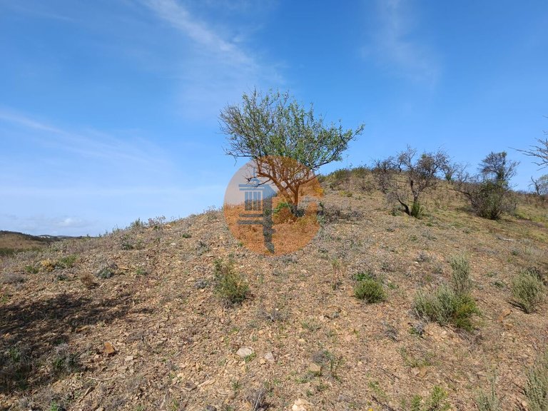 Plot for Sale in Azinhal, Castro Marim, Portugal 12