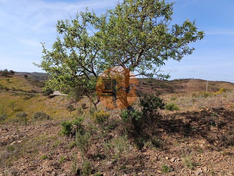 Plot for Sale in Azinhal, Castro Marim, Portugal 13