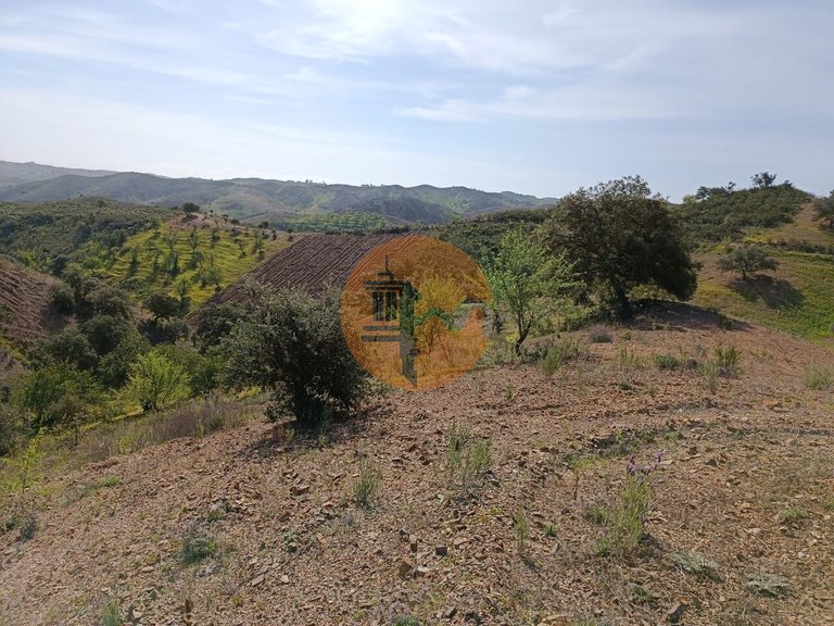 Plot for Sale in Azinhal, Castro Marim, Portugal 14