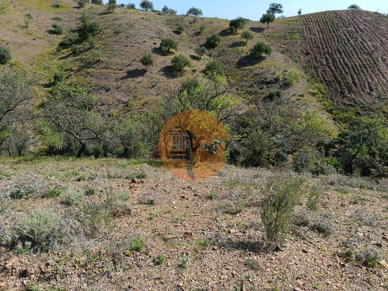 Plot for Sale in Azinhal, Castro Marim, Portugal 17