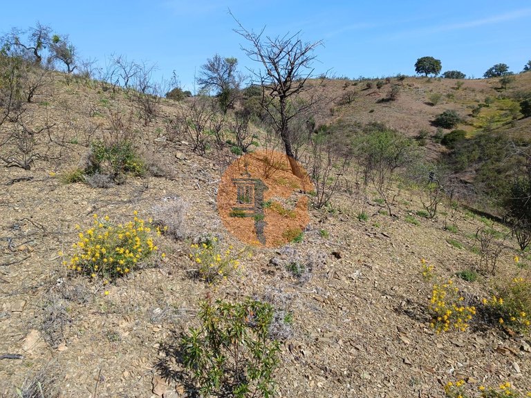 Plot for Sale in Azinhal, Castro Marim, Portugal 18