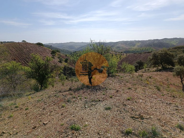 Plot for Sale in Azinhal, Castro Marim, Portugal 21