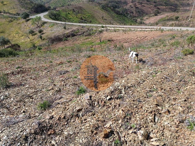 Plot for Sale in Azinhal, Castro Marim, Portugal 22