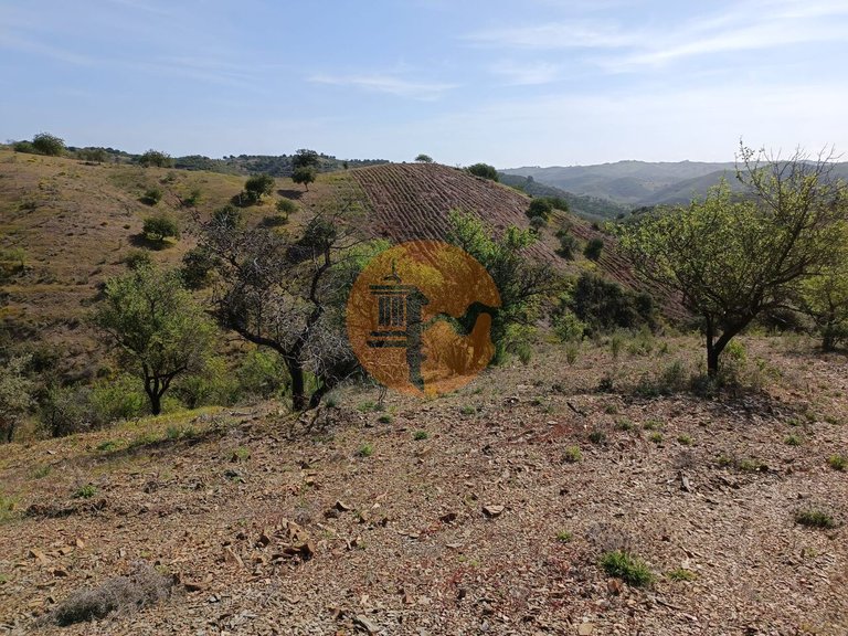 Plot for Sale in Azinhal, Castro Marim, Portugal 23