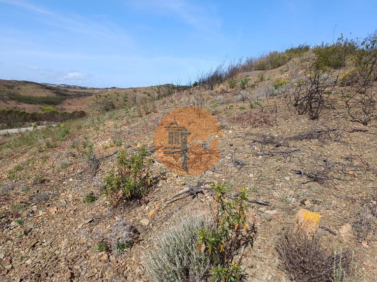 Plot for Sale in Azinhal, Castro Marim, Portugal 25