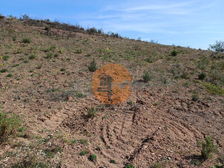 Plot for Sale in Azinhal, Castro Marim, Portugal 27
