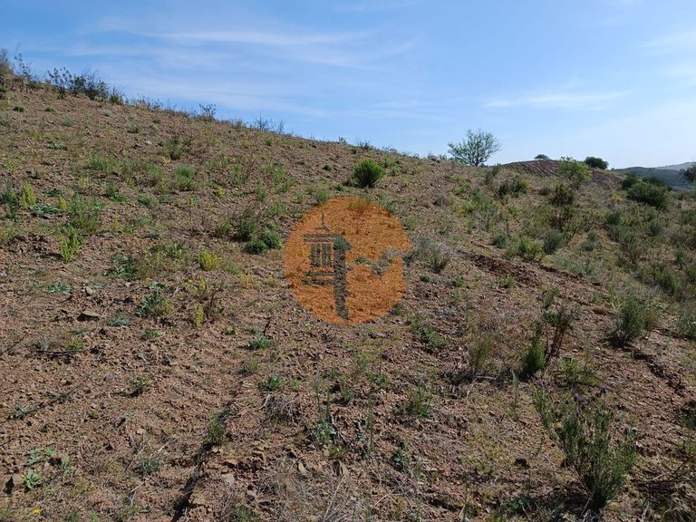 Plot for Sale in Azinhal, Castro Marim, Portugal 28